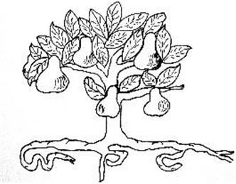 Biodiversity Ideas for Waterperry